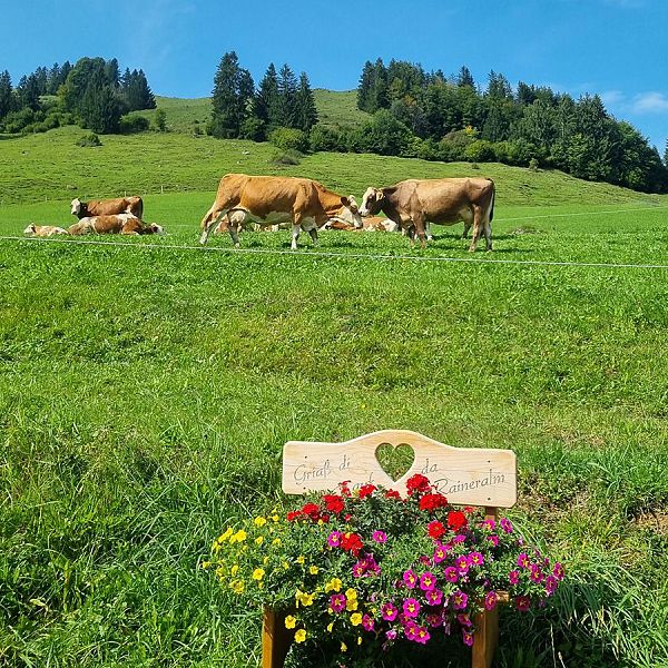KAW_Magazin_2509_CorinnaEllmer_Raineralm_18