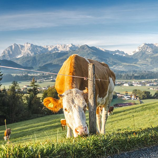 Landschaft mit Kreuz