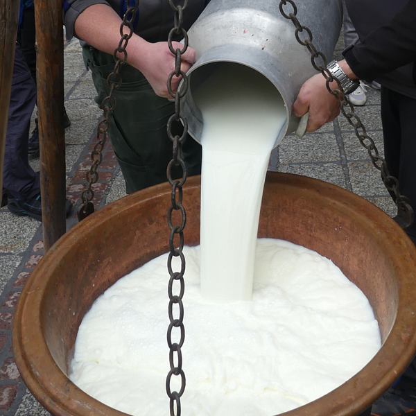 milch-1