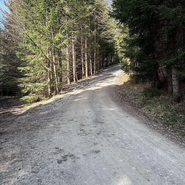 radtour-naringalm-2026-stefanie-hamberger-2