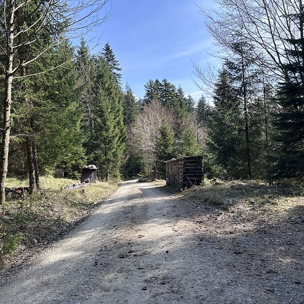 radtour-naringalm-2026-stefanie-hamberger-3