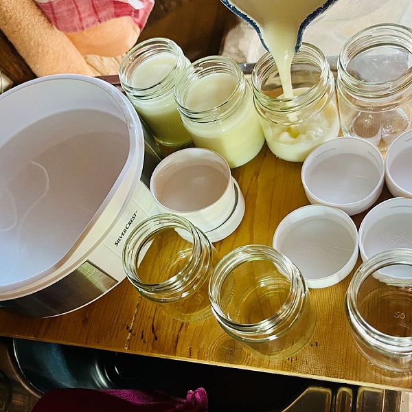 sophie-und-louise-kreative-sommerwerkstaette-joghurtherstellung-20