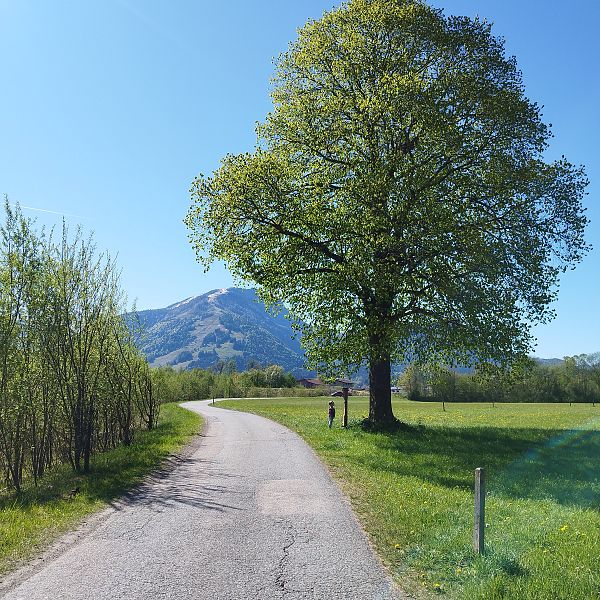 start-mit-kreuzwegstation-und-unterberg-im-hintergrund