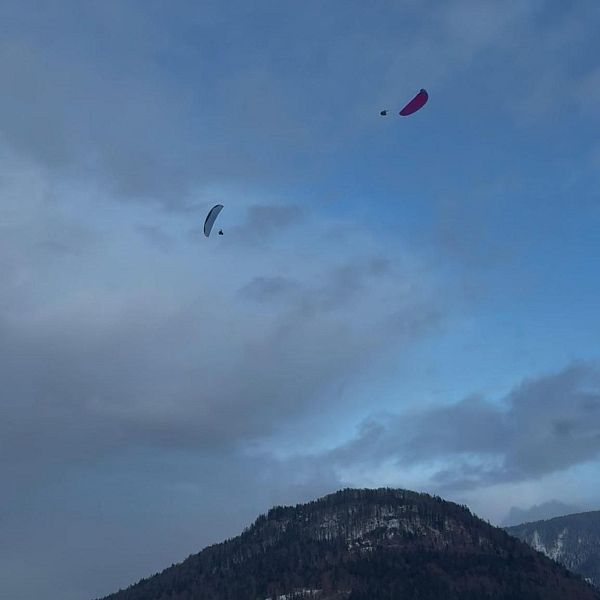 Winterspektakel 16.02.2025 - Stefanie Hamberger (76)