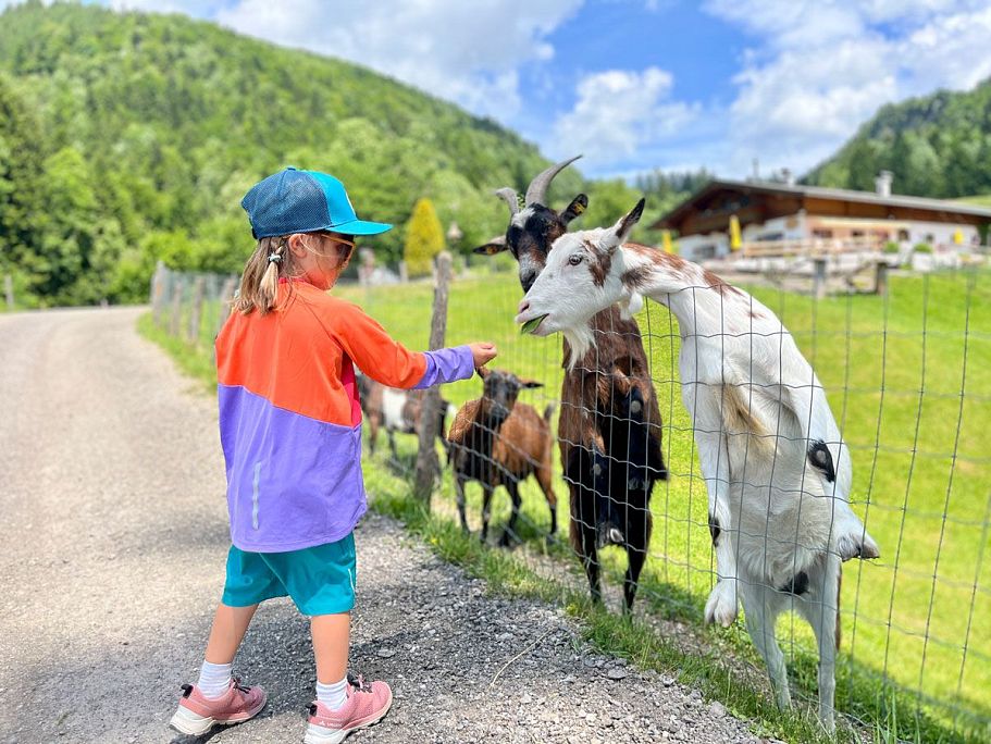 alpenbaby-3-almen-wanderung-10