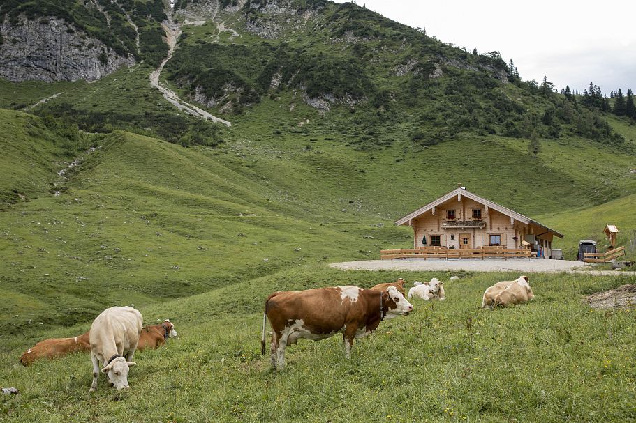 Feldalm Hütte
