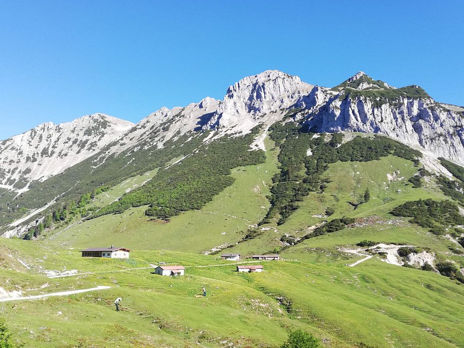 Feldalm