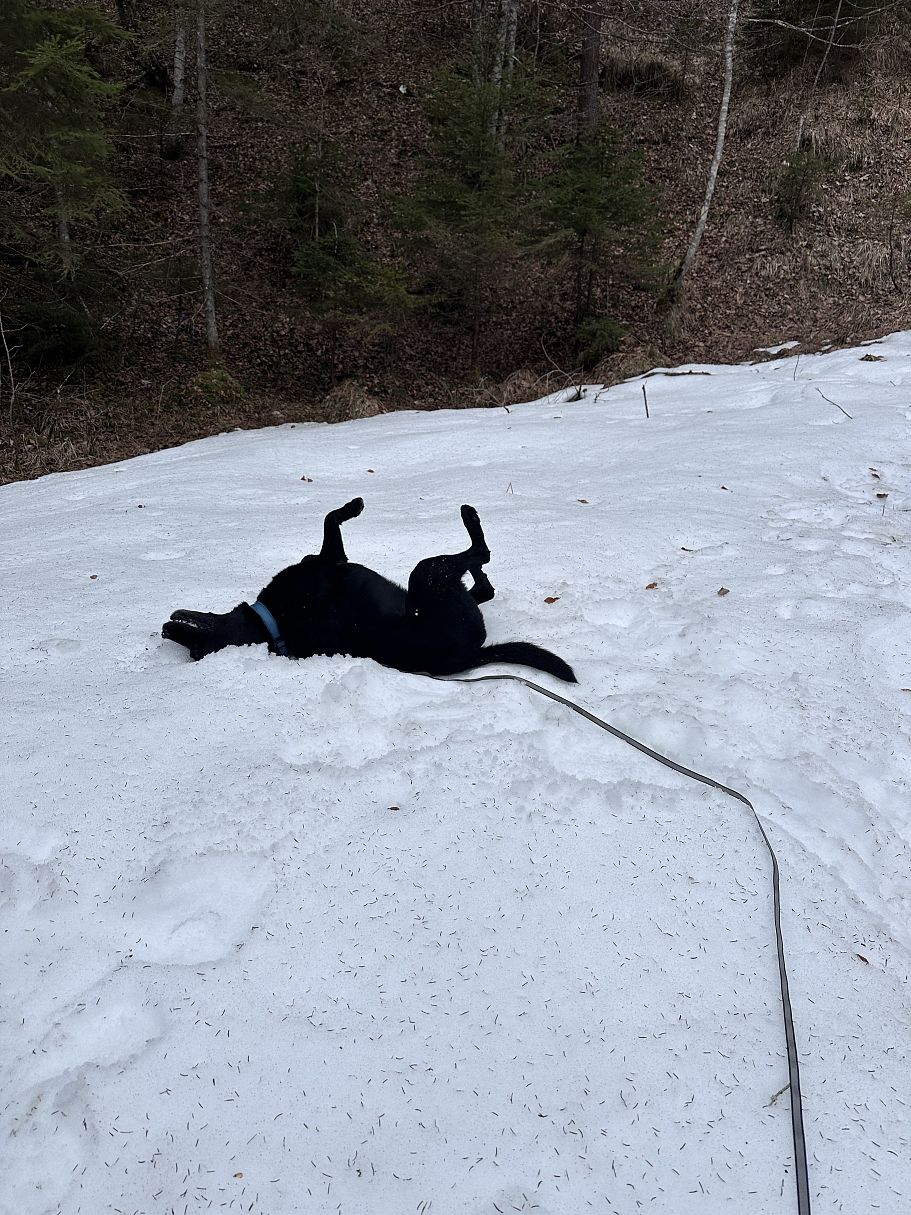 Frühlingswanderung Fischbachalm - Stefanie Hamberger (18)
