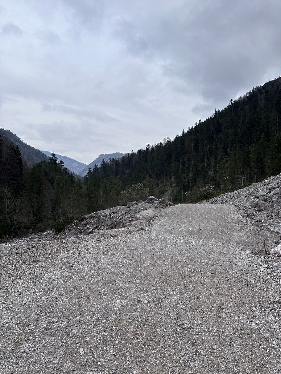 Frühlingswanderung Fischbachalm - Stefanie Hamberger (49)