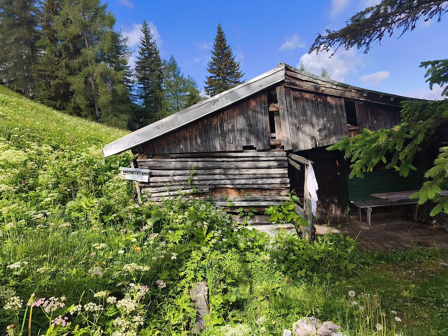aschinger-alm_0805
