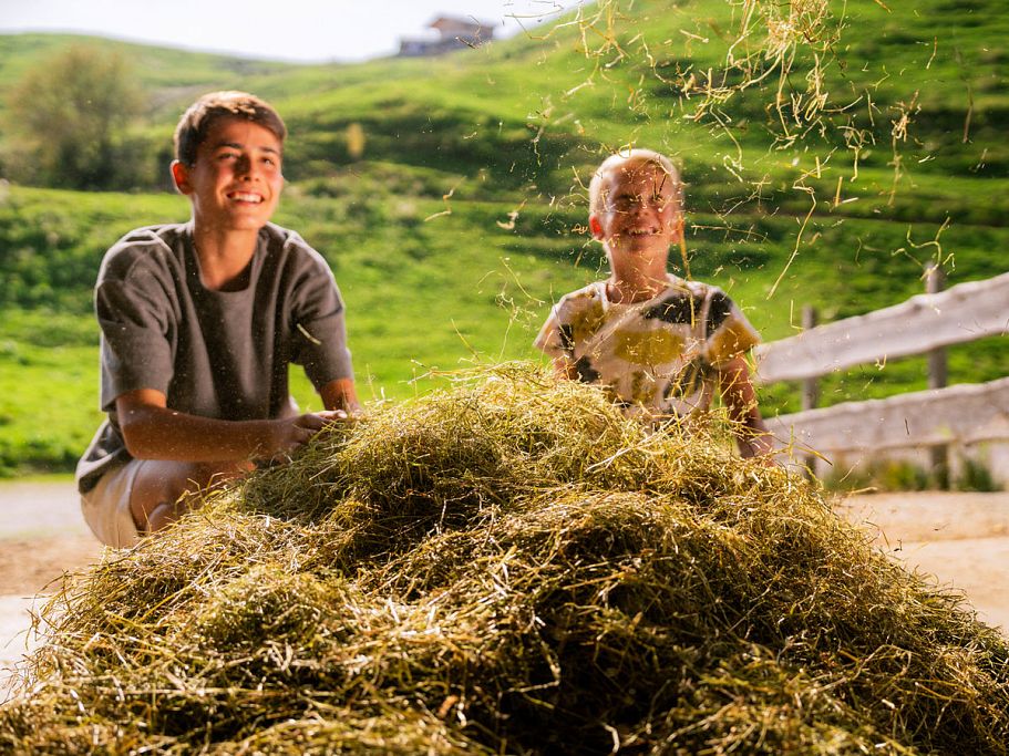 KAW_Heumilchregion_Heu