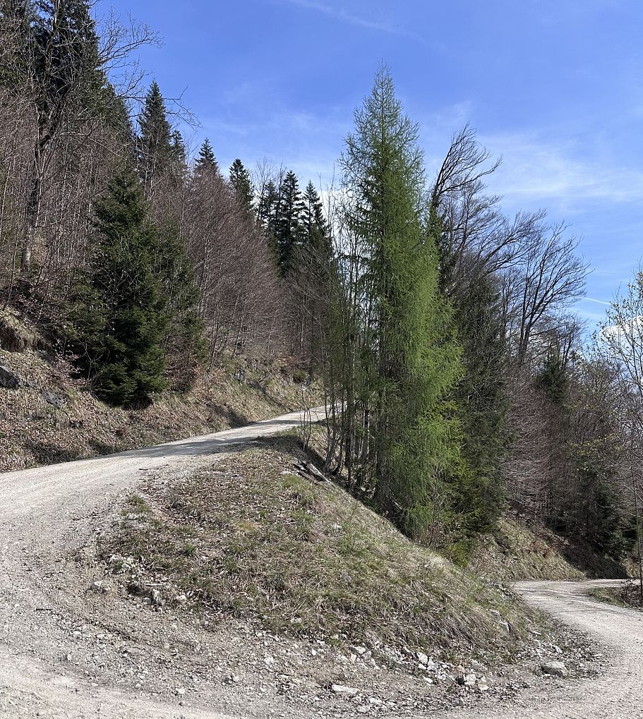 Radtour Naringalm 2026 - Stefanie Hamberger (18)