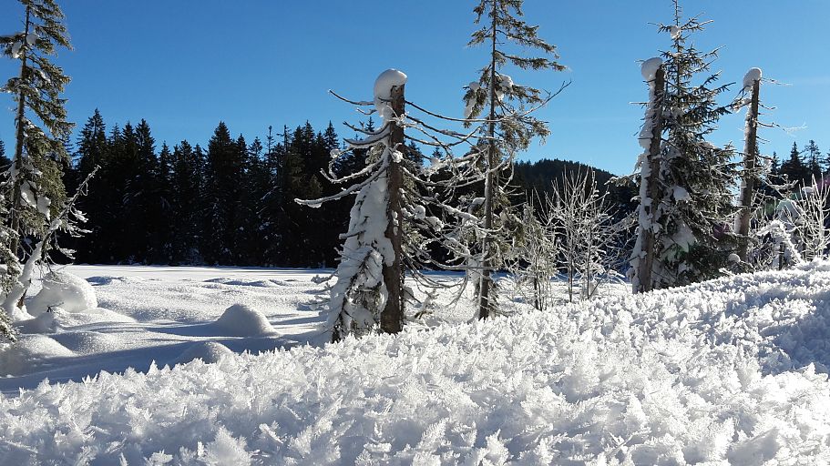 Schnee-SportundNAtur (4)