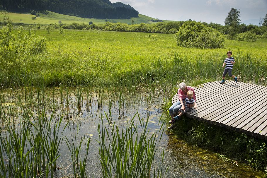 Schwemm 2016 - Bernhard Bergmann (hochauflösend) (4)