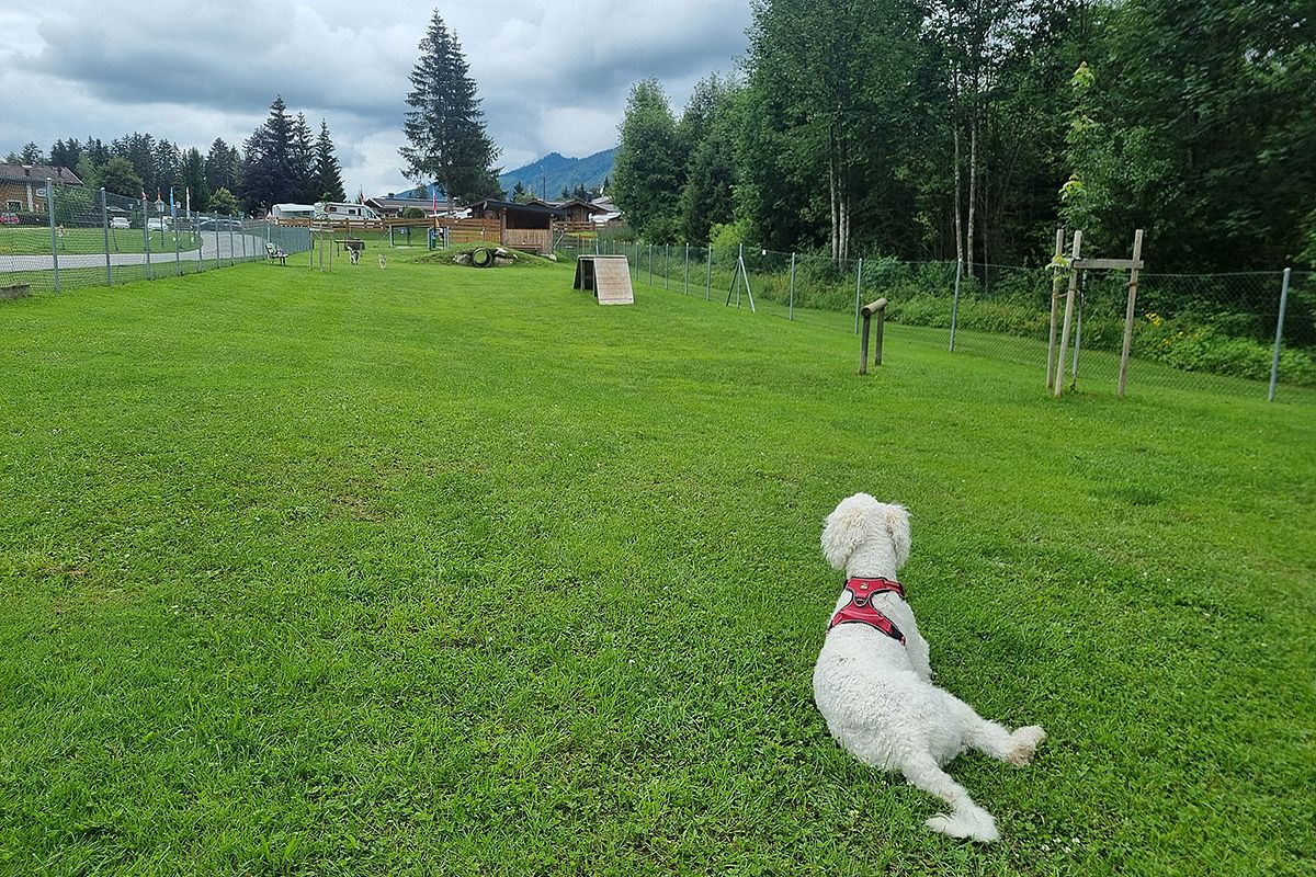 Kaiserwinkl_CorinnaEllmer_Hundespielplatz_11