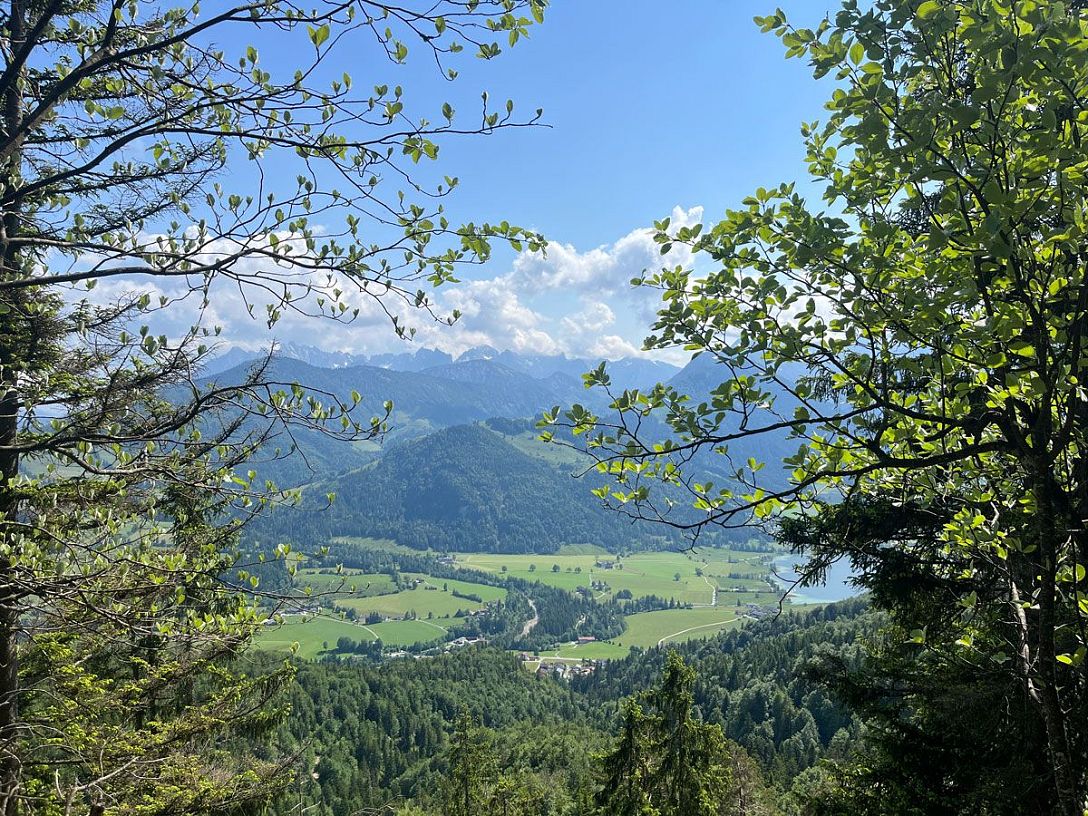 alpenbaby-3-almen-wanderung-27