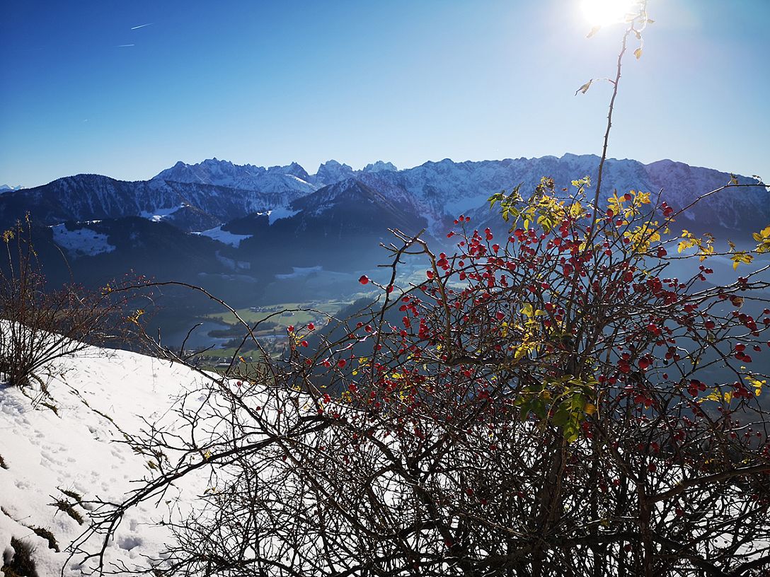 kaiserwinkl-lena-schindler-wanderen-im-frühling-14-wandern-im-fruehling