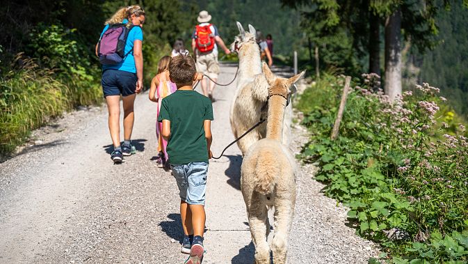 lama-alpaka-wanderung-2022-andreas-gruhle-37