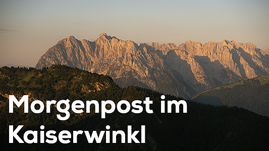 Morgenpost
