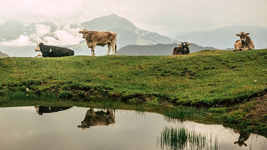 Weißes Gold als Weltkulturerbe