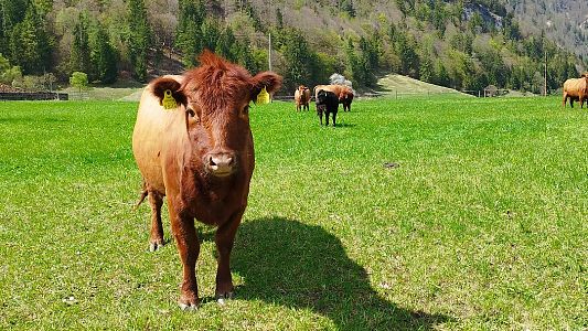 Rennradtour am Wilden Kaiser
