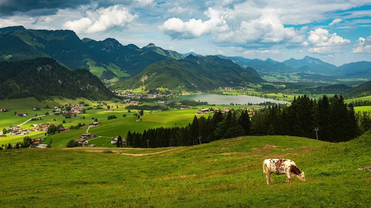 Weißes Gold als Weltkulturerbe – Podcastfolge von Uli Kaiser